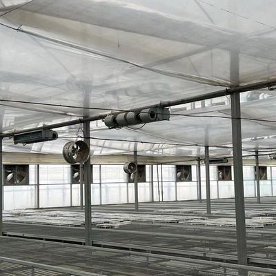 フィルムで覆われた水栽培滴滴灌木温室キット 20000kg パッケージ総重量