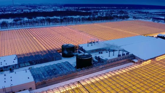 円形屋根 菌類栽培 日光温室 パッケージ 総重量 1000,000kg