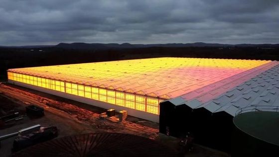 円形屋根 菌類栽培 日光温室 パッケージ 総重量 1000,000kg