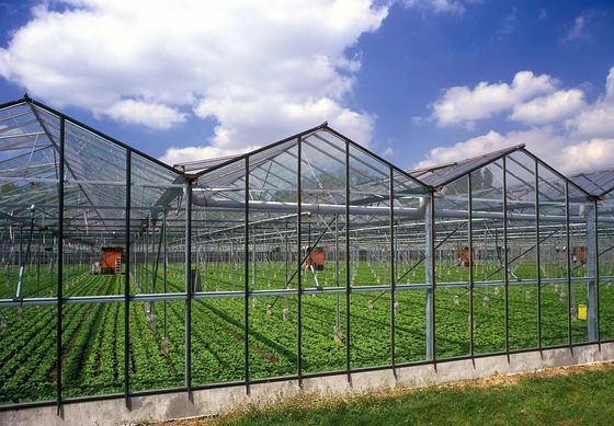 円形屋根 菌類栽培 日光温室 パッケージ 総重量 1000,000kg