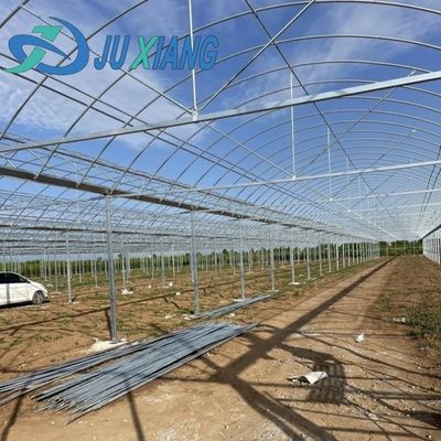 円形屋根 菌類栽培 日光温室 パッケージ 総重量 1000,000kg