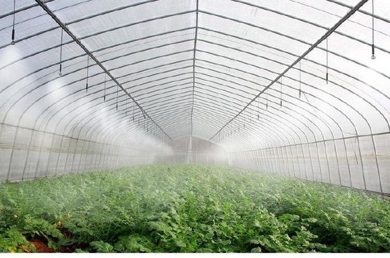 円形屋根 菌類栽培 日光温室 パッケージ 総重量 1000,000kg