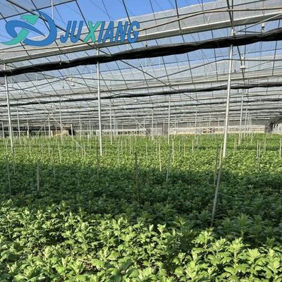 円形屋根 菌類栽培 日光温室 パッケージ 総重量 1000,000kg