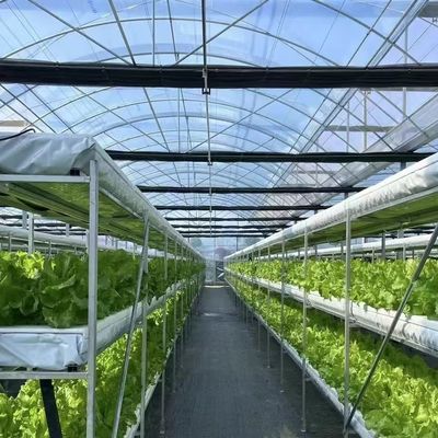 耐久性のあるPVCパイプと滴滴灌輸システムを持つ多スパン商業温室キット
