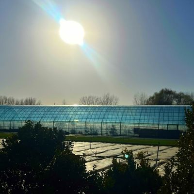 原産地 カプシカムの二重アーチビーム温室 輸送コストと生産温室