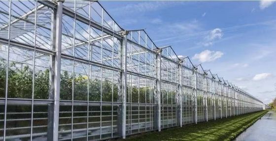 原産地 カプシカムの二重アーチビーム温室 輸送コストと生産温室