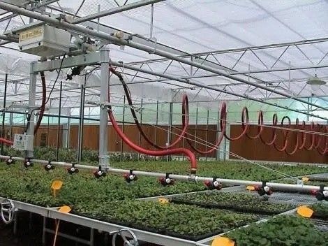 原産地 カプシカムの二重アーチビーム温室 輸送コストと生産温室