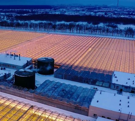 シングルまたはマルチスペンカスタマイズ 果物トマトの植え付けのための雪振動器温室