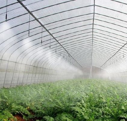 トマトの植え付けのためのカスタマイズされた雪振動器温室 単体または多スパン大