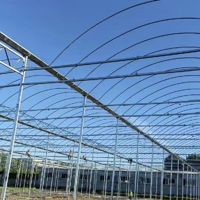 大規模農業温室 多スパン水栽培栽培システム 安価
