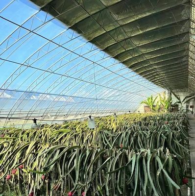 カスタム モダン 陽光 温室 二重層 キノコ 植え付け 要求