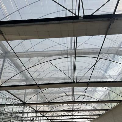 PVCパイプ滴滴灌輸温室と迅速な輸送で農業に革命を起こす