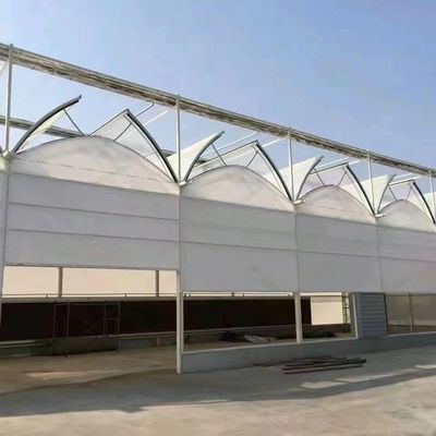自動灌?? システム の 現代の 日光 ガラス 温室