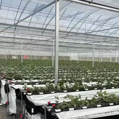 耐久性のある建材 鋼鉄構造の多スパンフィルム温室