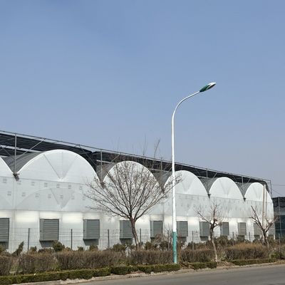 初期支払い JX-A0050 水管 野菜生産のための農業温室