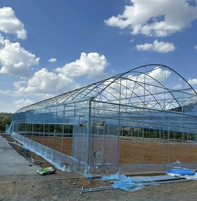 初期支払い JX-A0050 水管 野菜生産のための農業温室