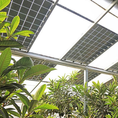 熱隔熱 商業用太陽光発電温室 オーダーメイドオプション