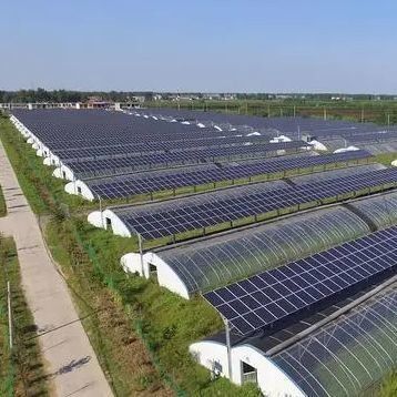 温室温室熱の保存 容量が大きい貯蔵と太陽光パネル