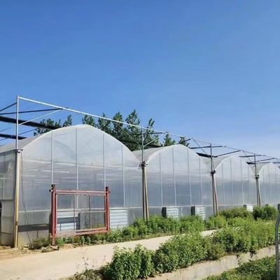 野菜生産 ポフィルム温室 シェーディングシステムと30日間の返金