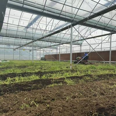 水栽培 用 の 多層 フィルム 温室 は 荒い 天候 から 植物 を 保護 する