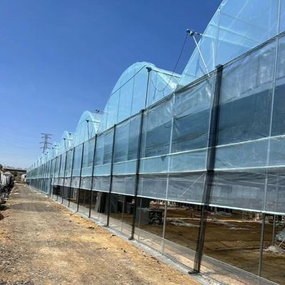 野菜生産ソリューションのための鉄鋼構造多スパンココペア土壌温室