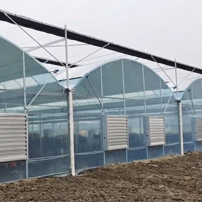 野菜生産ソリューションのための鉄鋼構造多スパンココペア土壌温室