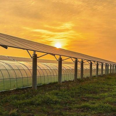 太陽光発電のための多層覆い温室 2000,000kg パッケージ総重量