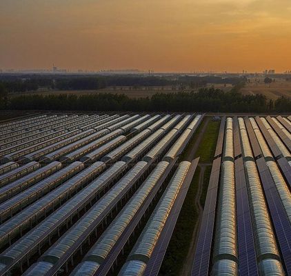 持続可能な成長のための革新的な単一/多スパン太陽光発電の商業温室