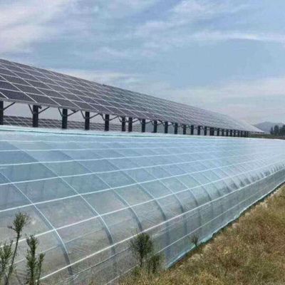 持続可能な成長のための革新的な単一/多スパン太陽光発電の商業温室
