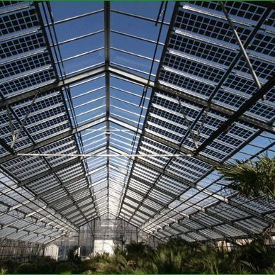 熱貯蔵 単弧型 商業用太陽光発電温室 持続性