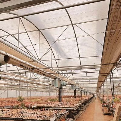 野菜生産 ポフィルム温室 水管システムと低運送コスト