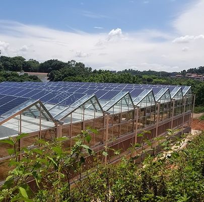 マルチスパンデザイン 革新的な太陽温室 初払いと商業用