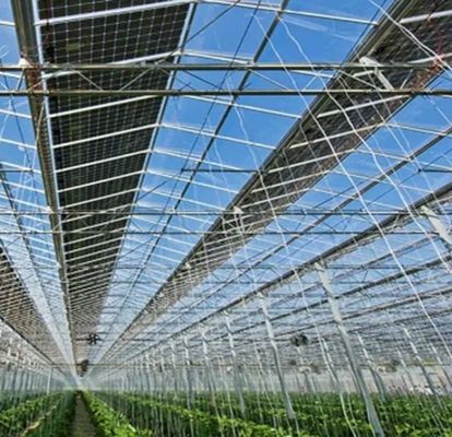 マルチスパンデザイン 革新的な太陽温室 初払いと商業用