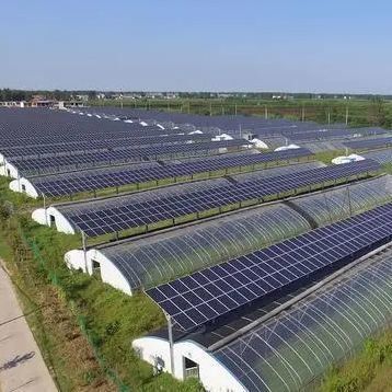 マルチスパンデザイン 革新的な太陽温室 初払いと商業用