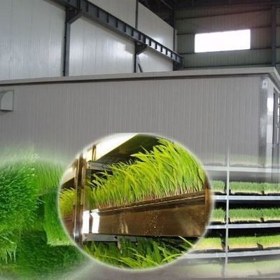多機能容器用飼料 二重層花/野菜/種子繁殖用
