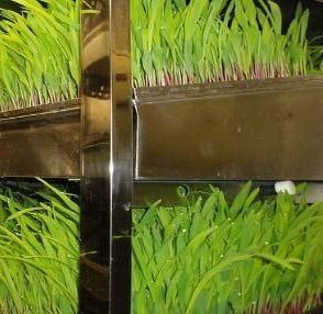 多機能容器用飼料 二重層花/野菜/種子繁殖用