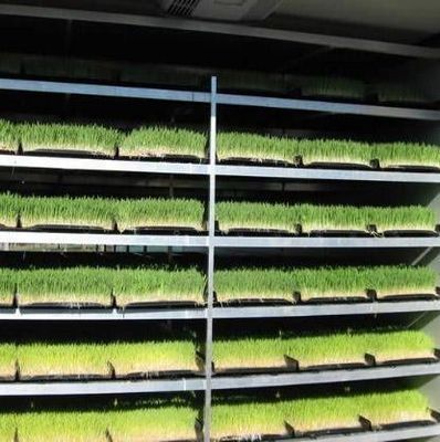 多機能容器用飼料 二重層花/野菜/種子繁殖用
