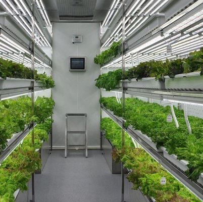 輸送コストと推定納期 葉野菜のコンテナ温室