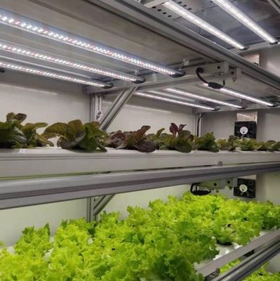 輸送コストと推定納期 葉野菜のコンテナ温室