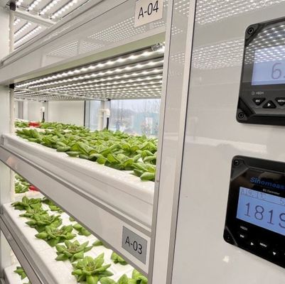 輸送コストと推定納期 葉野菜のコンテナ温室