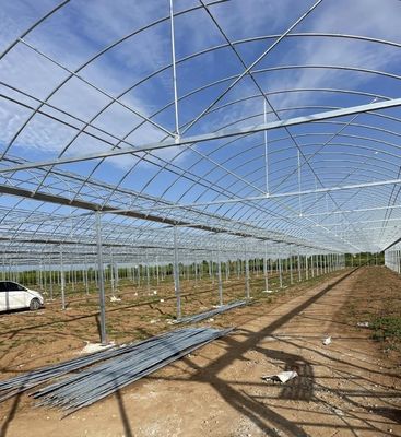 US 20/平方メートル 水栽培滴水灌輸 野菜用プラスチックフィルム温室