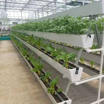 基質培養システムを持つ高度な多スパン垂直農業コンテナ温室