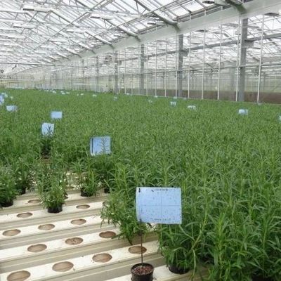 基質培養システムを持つ高度な多スパン垂直農業コンテナ温室