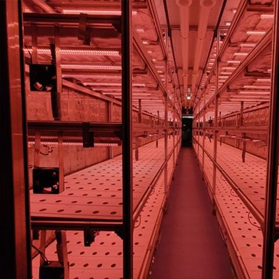 多スパン農業温室 40フィートコンテナ 水育垂直農業システム
