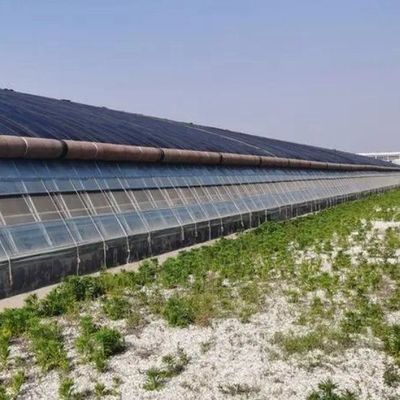 プラスチック温室部門 多スパン Po/PE 水栽培付き商業温室