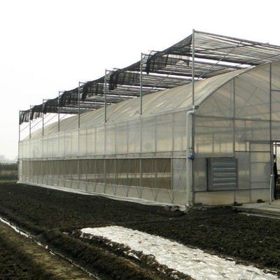 プラスチック温室部門 多スパン Po/PE 水栽培付き商業温室