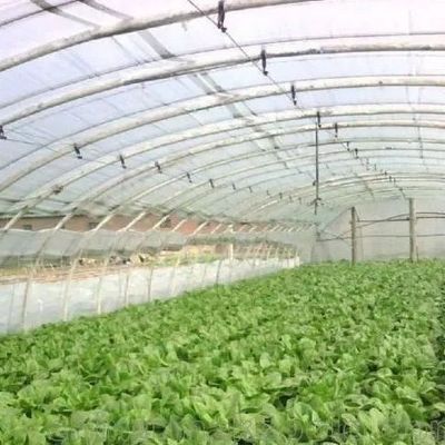 プラスチック温室部門 多スパン Po/PE 水栽培付き商業温室