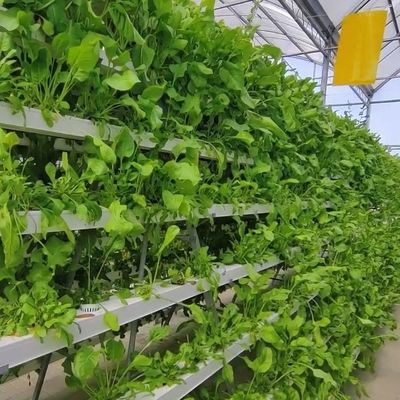 2000.000kg パッケージ 総重量 水栽培のための商業温室 気候制御