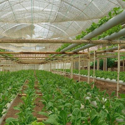 2000.000kg パッケージ 総重量 水栽培のための商業温室 気候制御