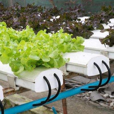 2000.000kg パッケージ 総重量 水栽培のための商業温室 気候制御